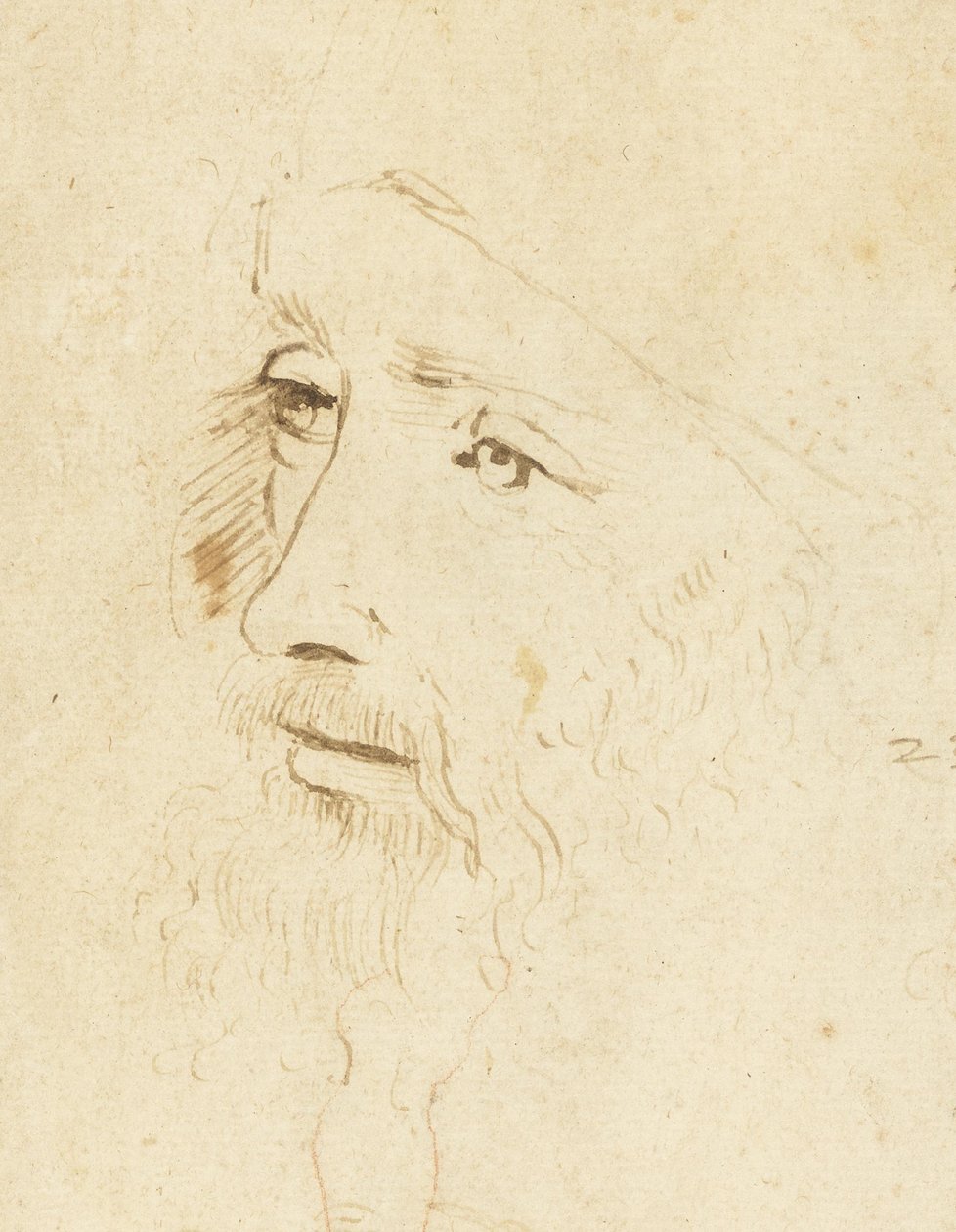 Portrett av Leonardo da Vinci, ca 1518. av Leonardo da Vinci,
