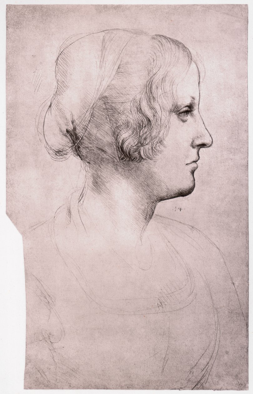 Portrett av en jente med lue, 1493-1495 av Leonardo da Vinci