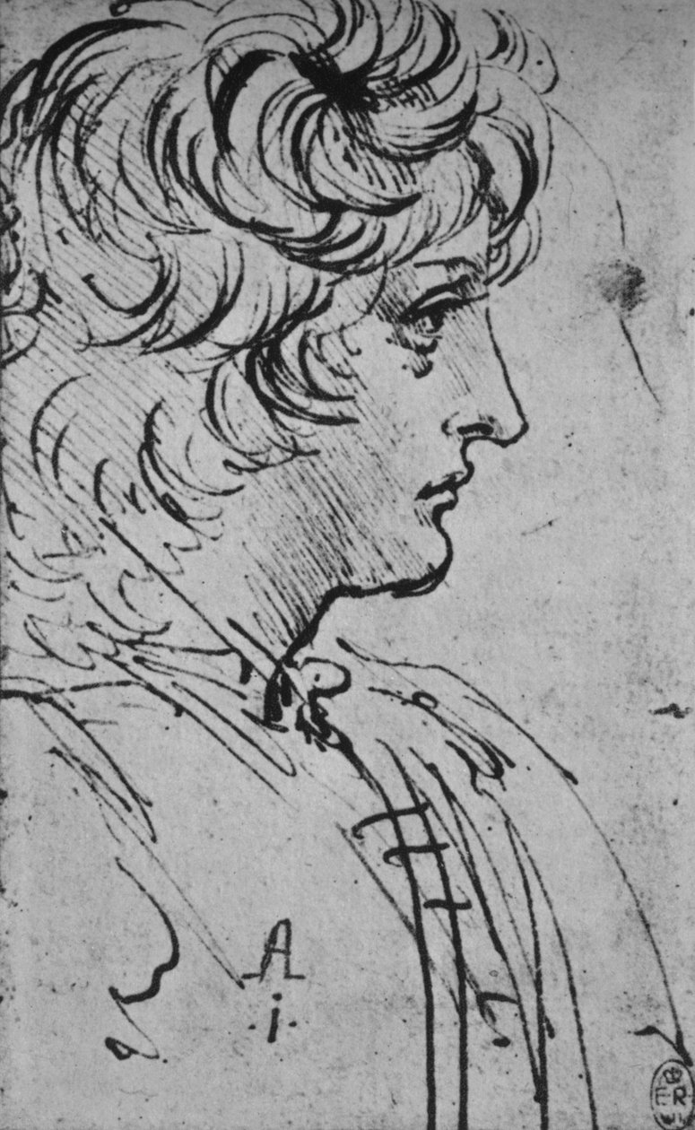 Profil av en ungdom til høyre, c1480 1945 av Leonardo da Vinci