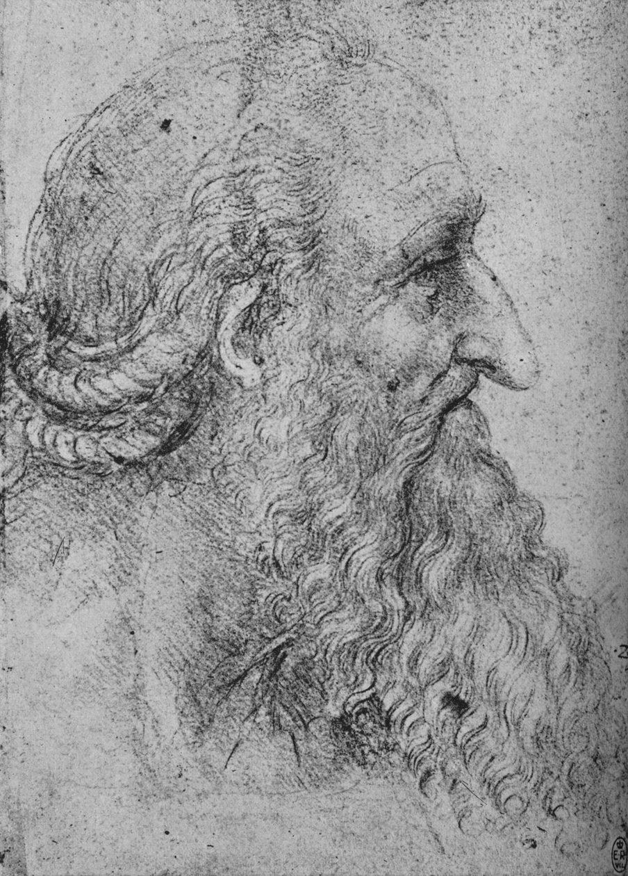 Profil av en gammel skjeggete mann til høyre, c1480 1945 av Leonardo da Vinci