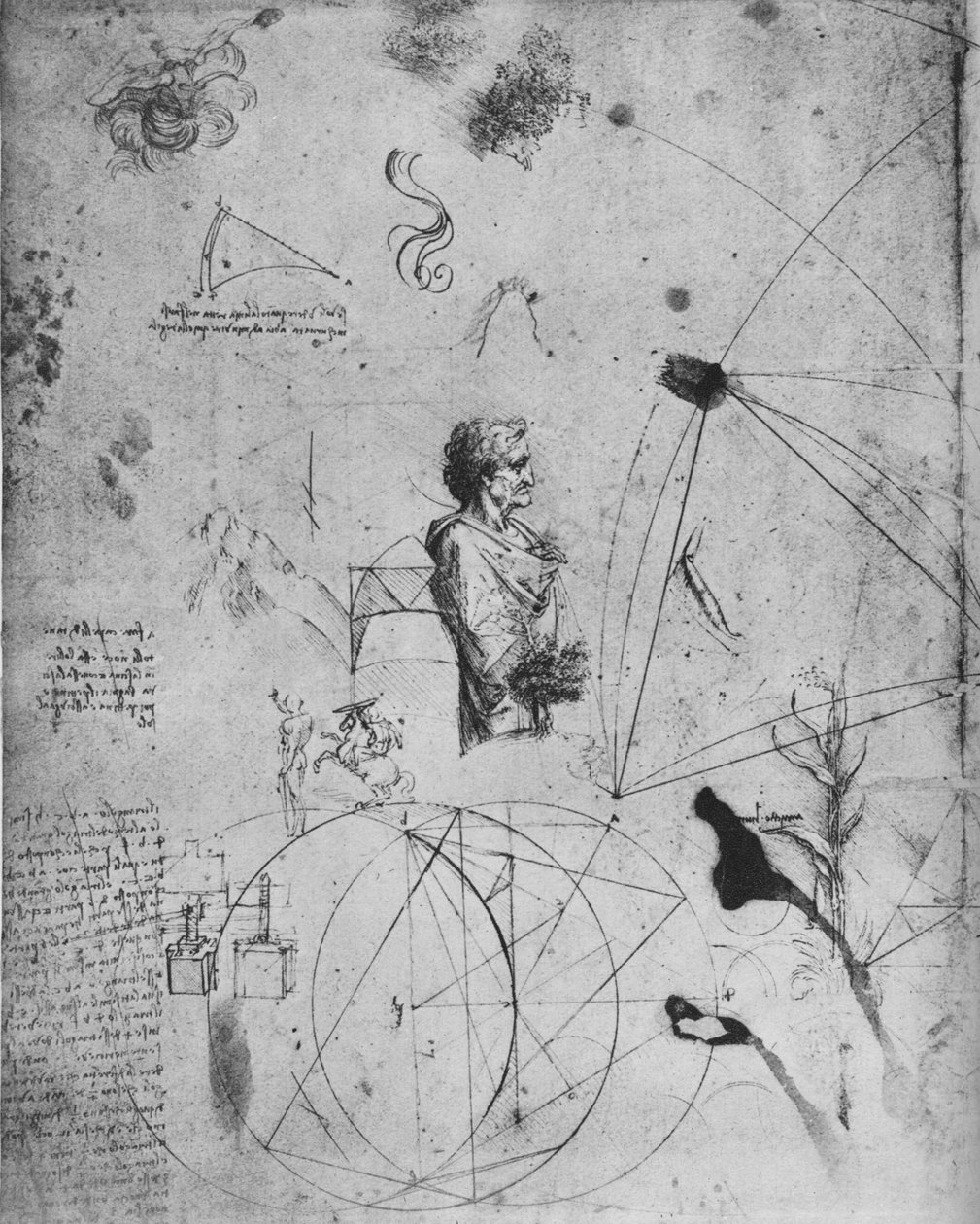 Profil av en gammel mann, planter, geometriske figurer, etc., c1480 1945 av Leonardo da Vinci