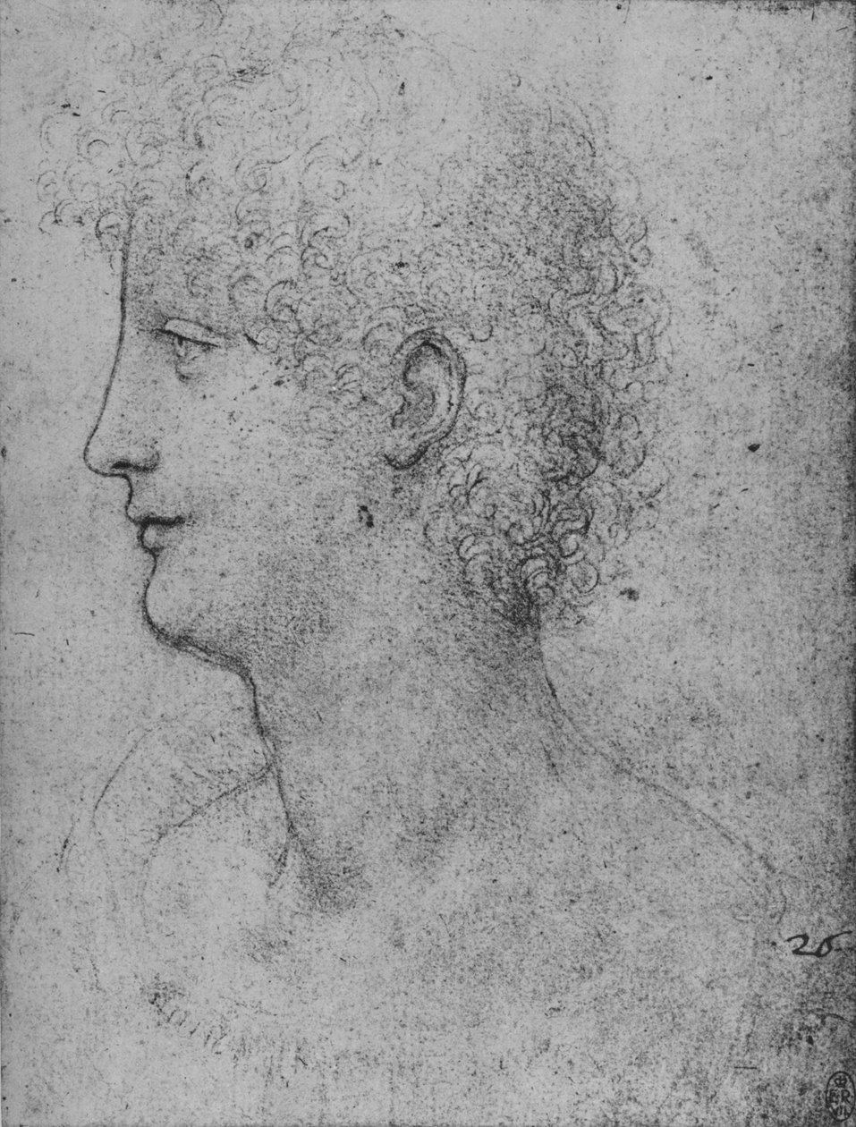 Profil til venstre for en krøllete ungdom, c1480 1945 av Leonardo da Vinci