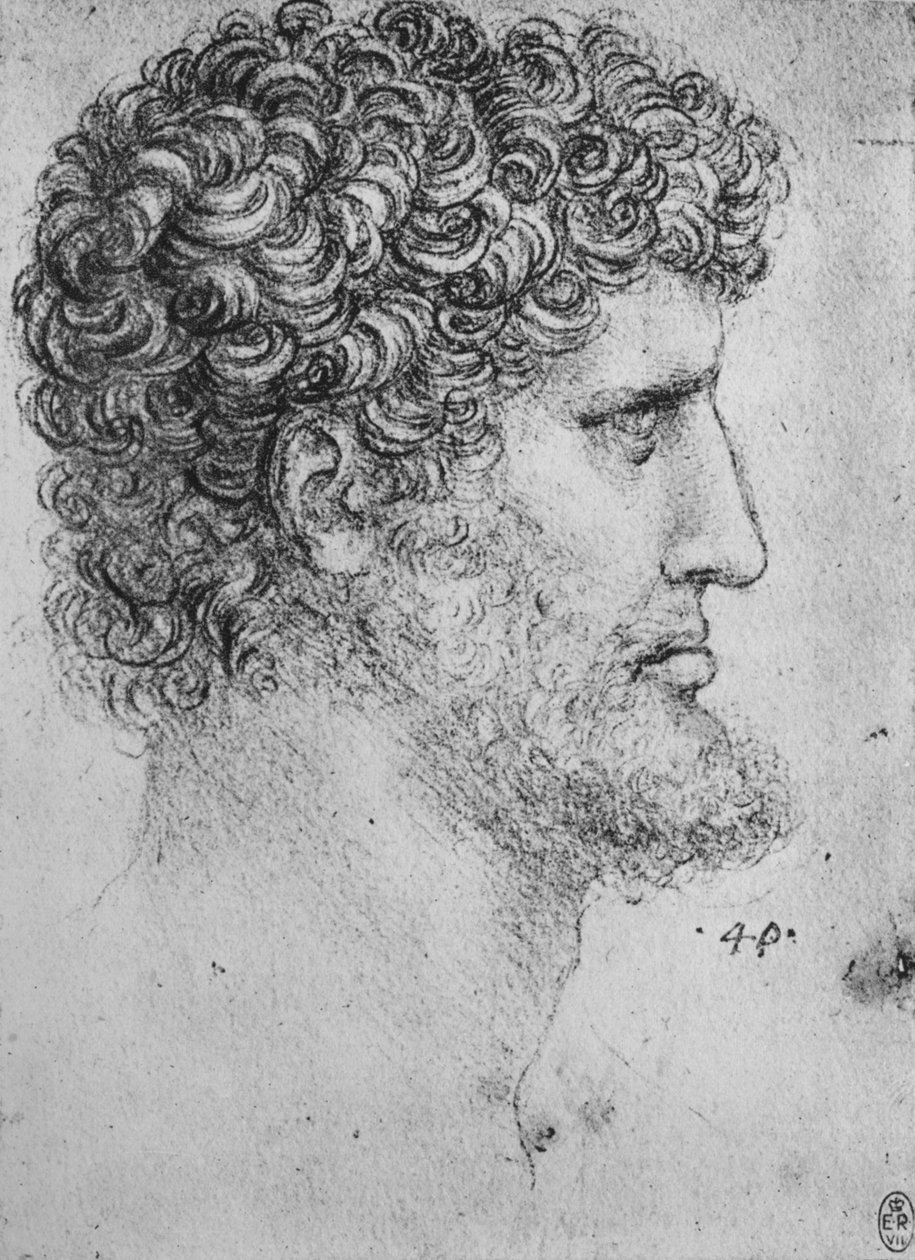 Profil til høyre for en skjegget mann, c1480 1945 av Leonardo da Vinci