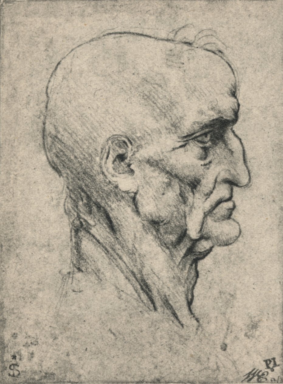 Profil til høyre for en eldre skallet mann, c1480 1945 av Leonardo da Vinci