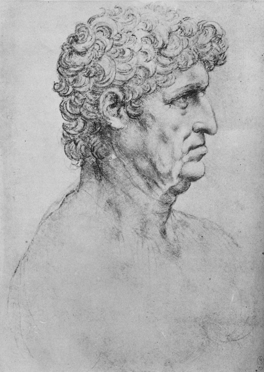 Profil til høyre for en eldre mann, c1480 1945 av Leonardo da Vinci