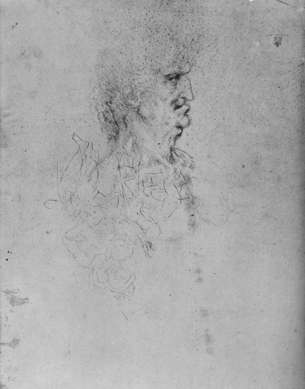 Profil til høyre for en gammel mann, c1480 1945 av Leonardo da Vinci