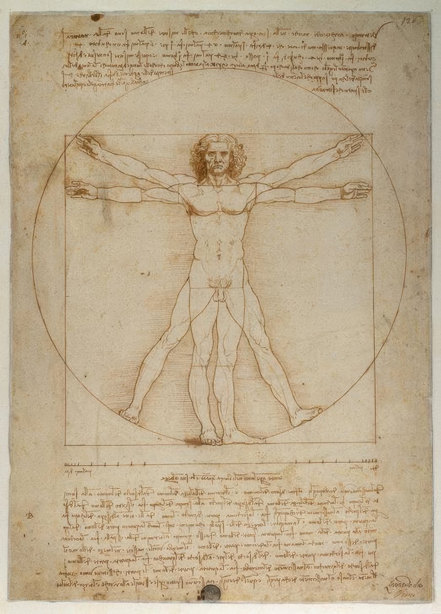 Skjema av proporsjoner av den menneskelige figuren ifølge Vitruvius av Leonardo da Vinci