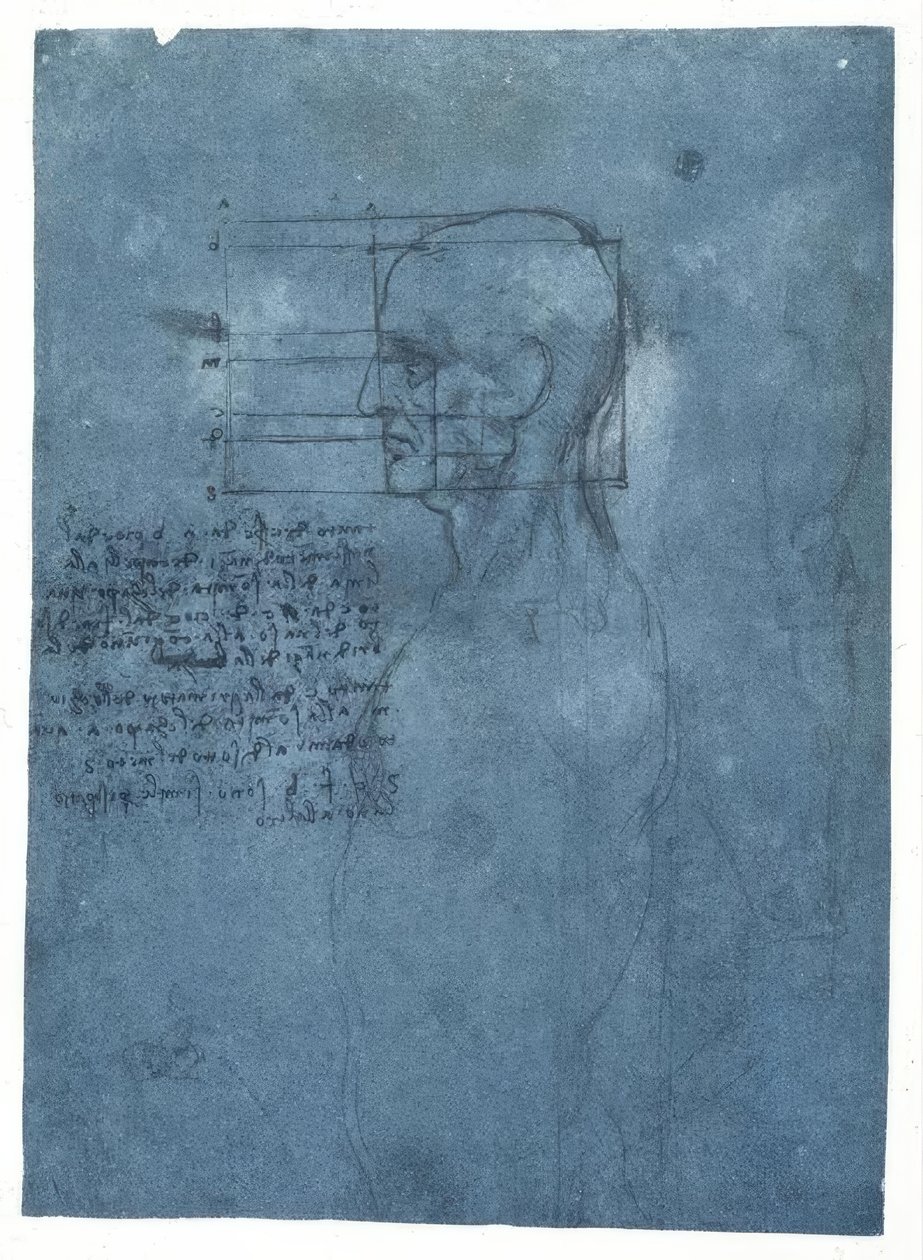 Proporsjonsstudie av et mannlig hode i profil av Leonardo da Vinci