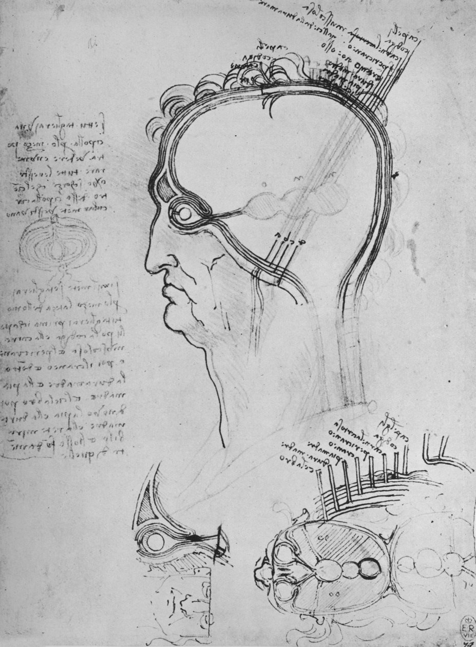 Utsnitt av et mannshode som viser øyets anatomi, etc., c1480 1945 av Leonardo da Vinci