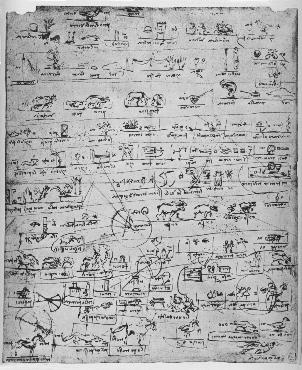 Ark med piktogrammer, c1480 1945 av Leonardo da Vinci