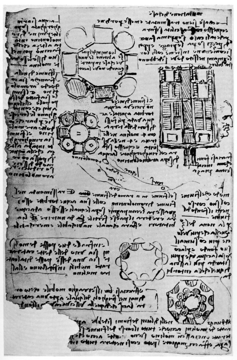 Skisse for Romorantin Castle, 1517-1518 1954. av Leonardo da Vinci