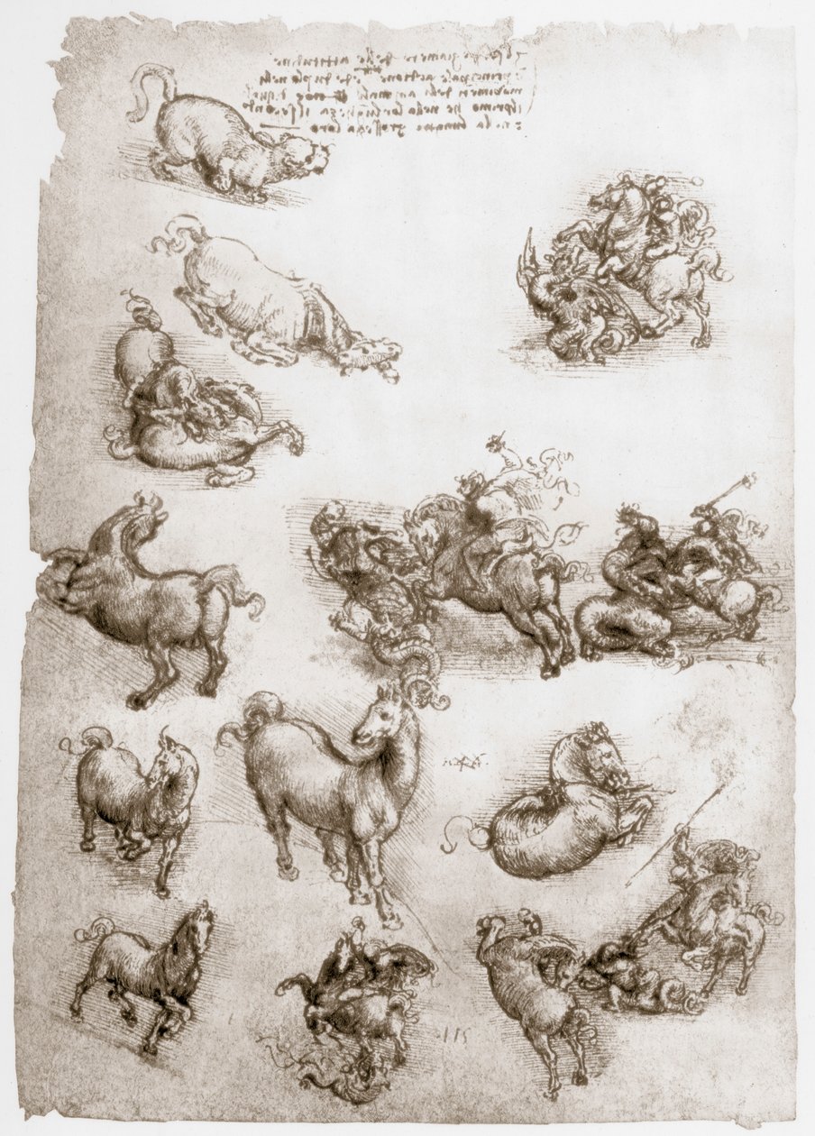 St George and the Dragon, c1506 av Leonardo da Vinci