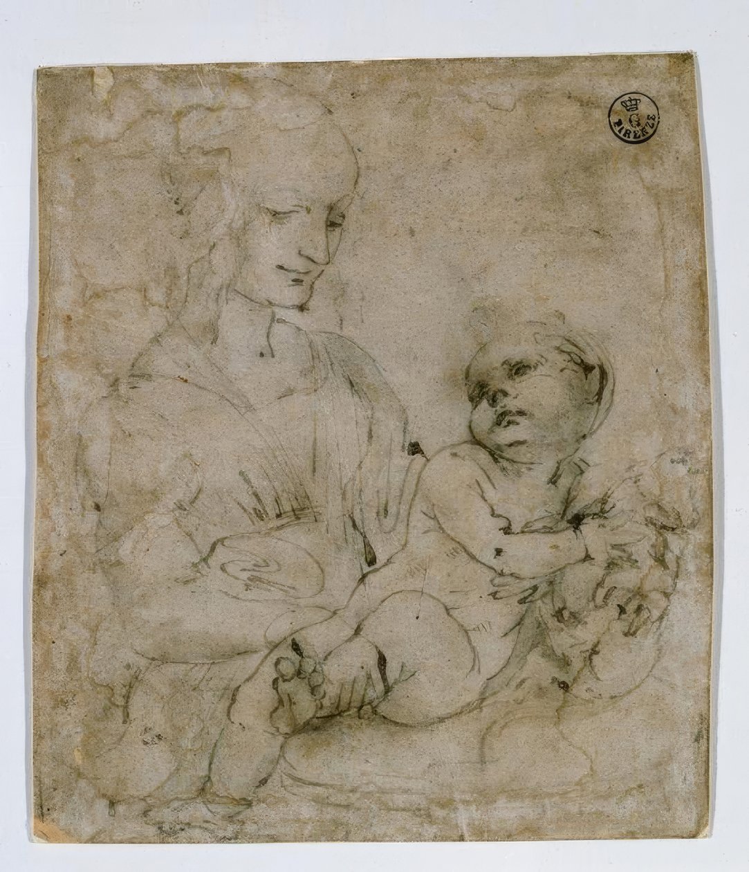 Studie for Madonna og katt av Leonardo da Vinci