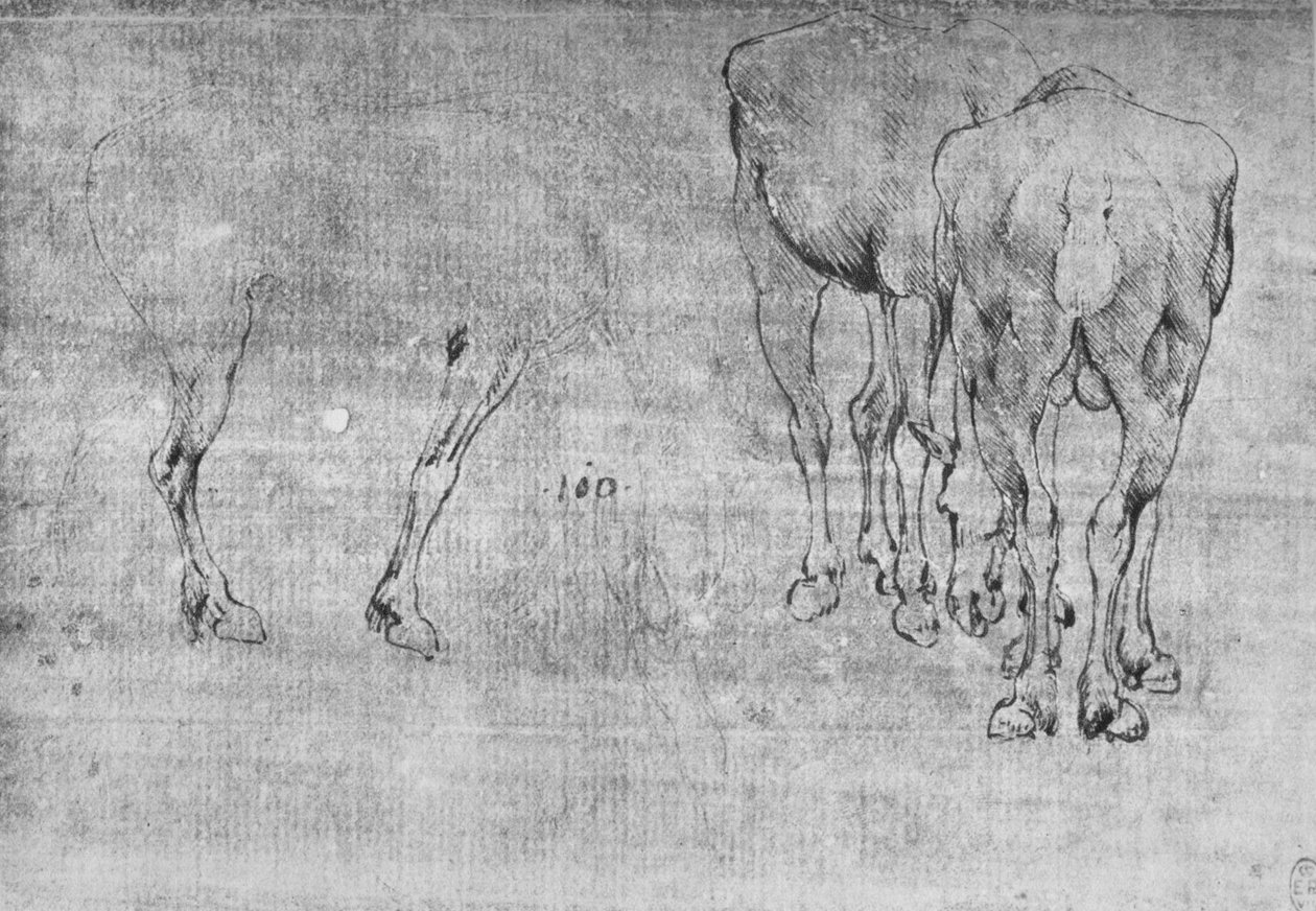 Studies of Horses Grazing, c1480 1945 av Leonardo da Vinci