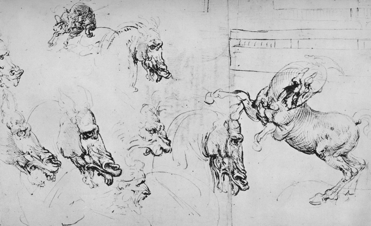 Studier av hestehoder og av en oppdrettshest, c1480 1945 av Leonardo da Vinci