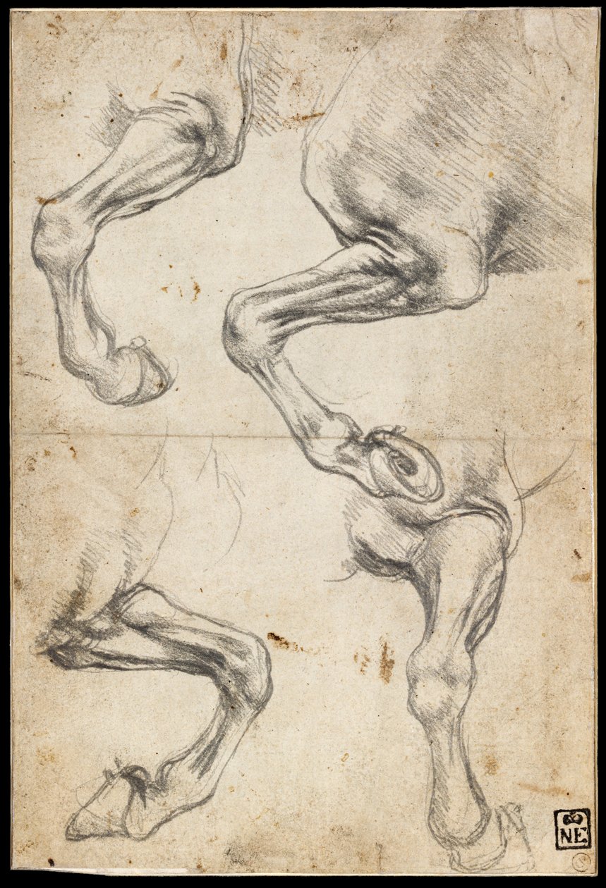  av Leonardo da Vinci