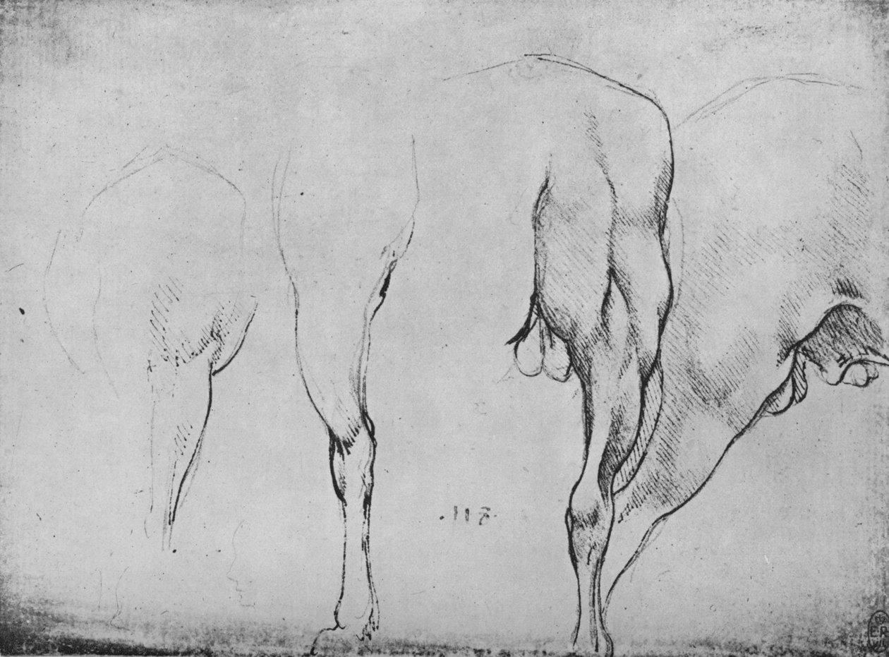 Studies of Horses Legs, c1480 1945 av Leonardo da Vinci