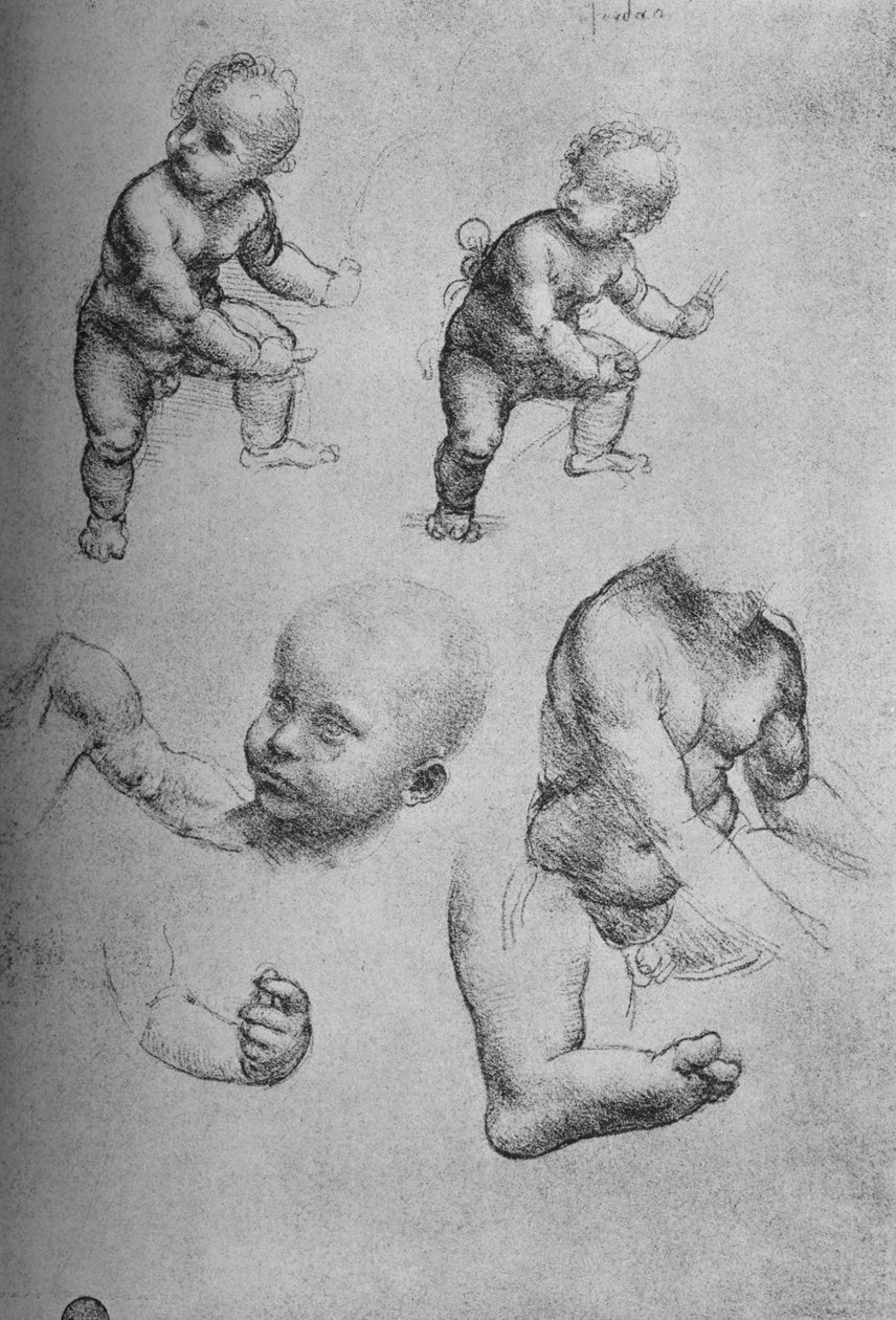 Studier av et barn og deler av et barn, c1480 1945 av Leonardo da Vinci