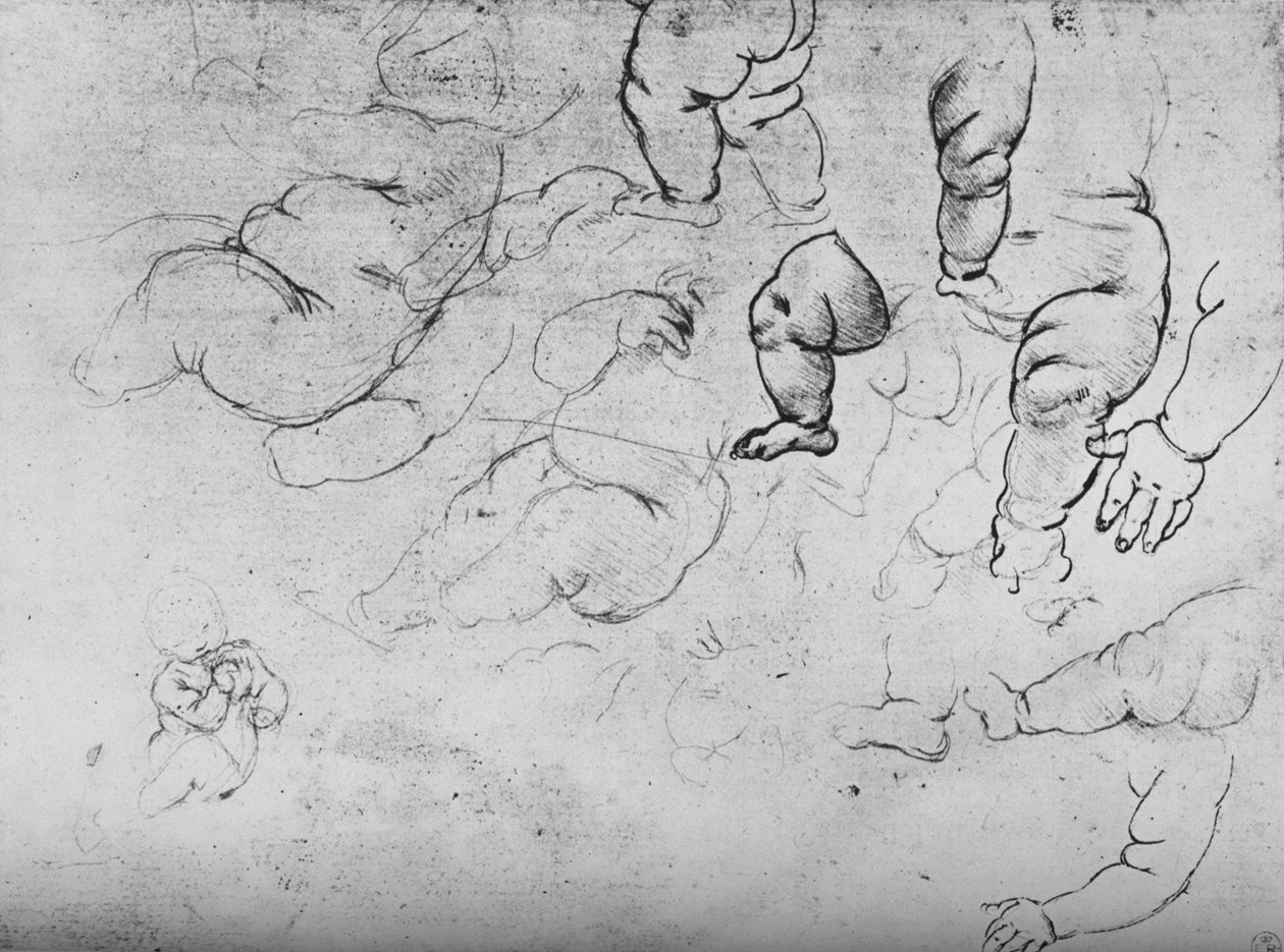 Studier av et barn, c1490 1945 av Leonardo da Vinci