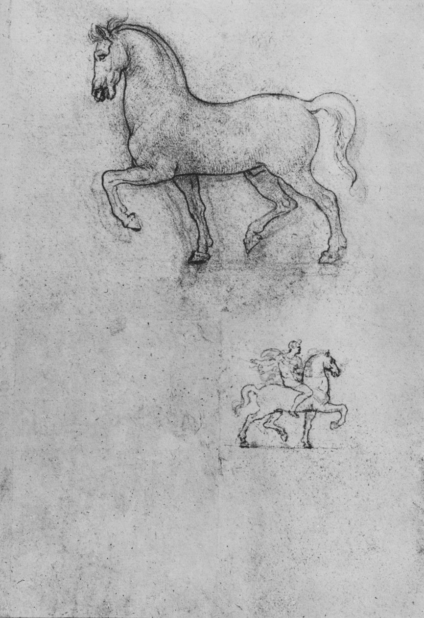 Studier av en hest og en av en hest og rytter, c1480 1945 av Leonardo da Vinci