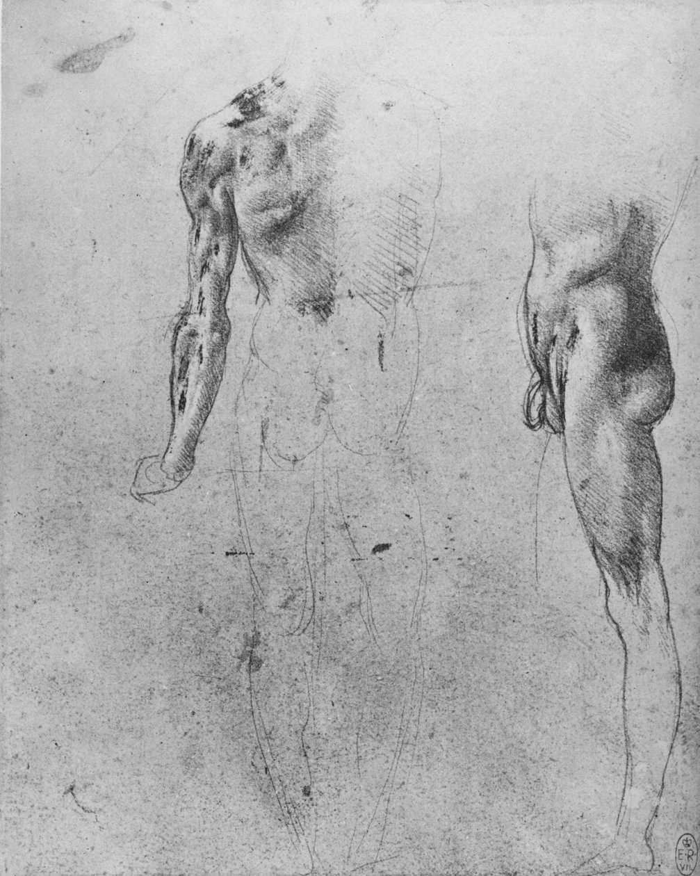 Studier av en naken mann sett fra baksiden og fra siden, c1480 1945 av Leonardo da Vinci