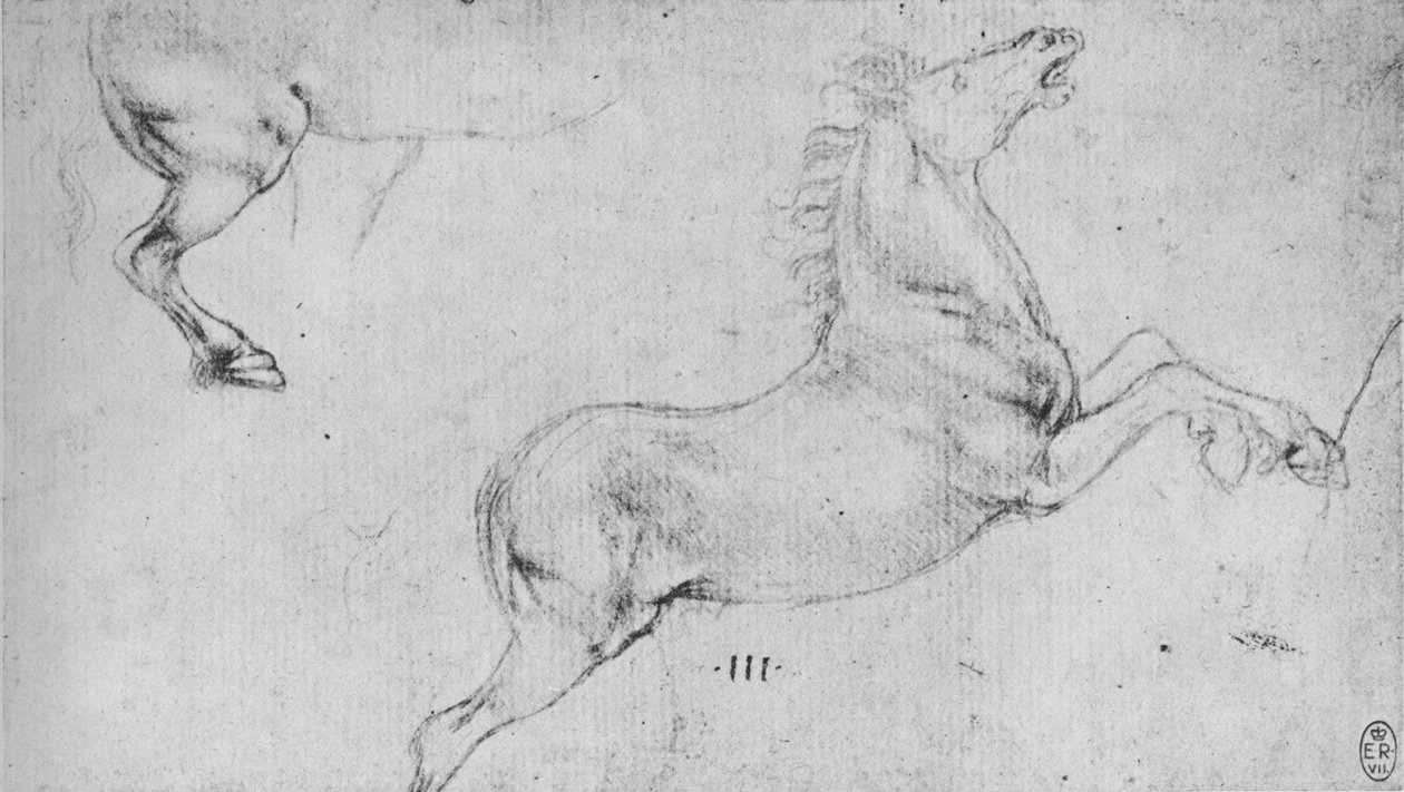 Studies of a Rearing Horse and a Horses Hind-Quarters, c1480 1945 av Leonardo da Vinci