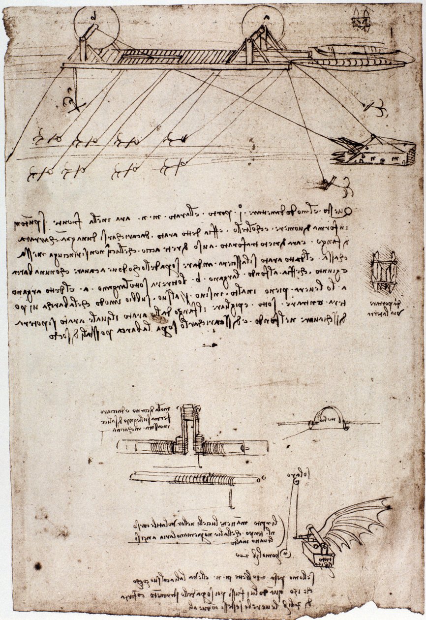 Studie for en marin mudre av Leonard de Vinci (Leonardo da Vinci) (1452 - 1519). Tegning med penn og blekk. av Leonardo da Vinci