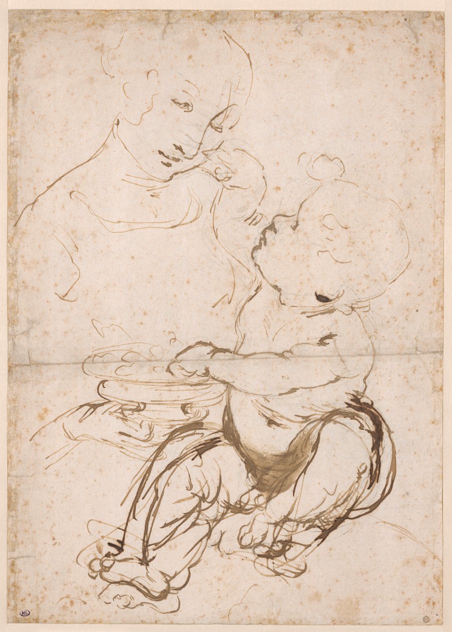 Study for the Madonna with a Fruit Bowl, ca 1478.    1195245   no       norwegian Successfully Translated  Original: The Old Carthorse, 1861 Translat: 