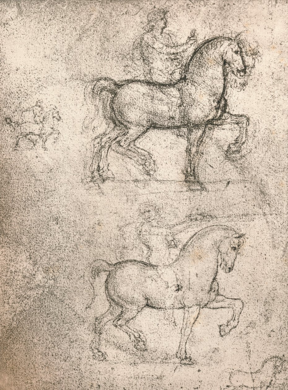 Studie for Sforza-monumentet, c1482-c1499 1883 av Leonardo da Vinci