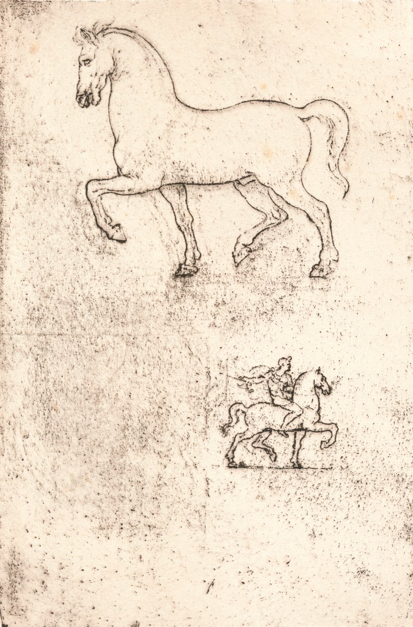 Studie for Sforza-monumentet, c1482-c1499 1883 av Leonardo da Vinci