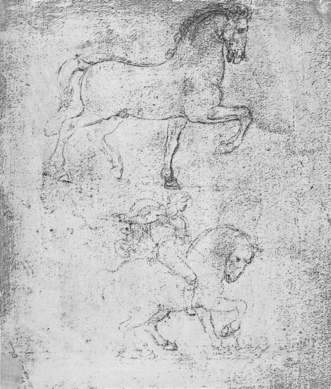 Studie for Sforza-monumentet, c1482-c1499 1883 av Leonardo da Vinci