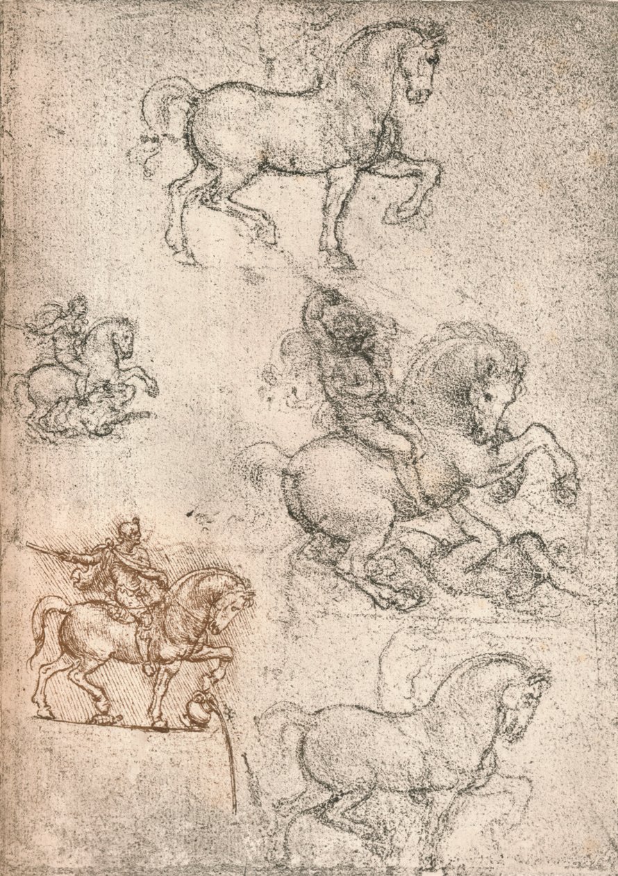 Studie for Sforza-monumentet, c1482-c1499 1883 av Leonardo da Vinci