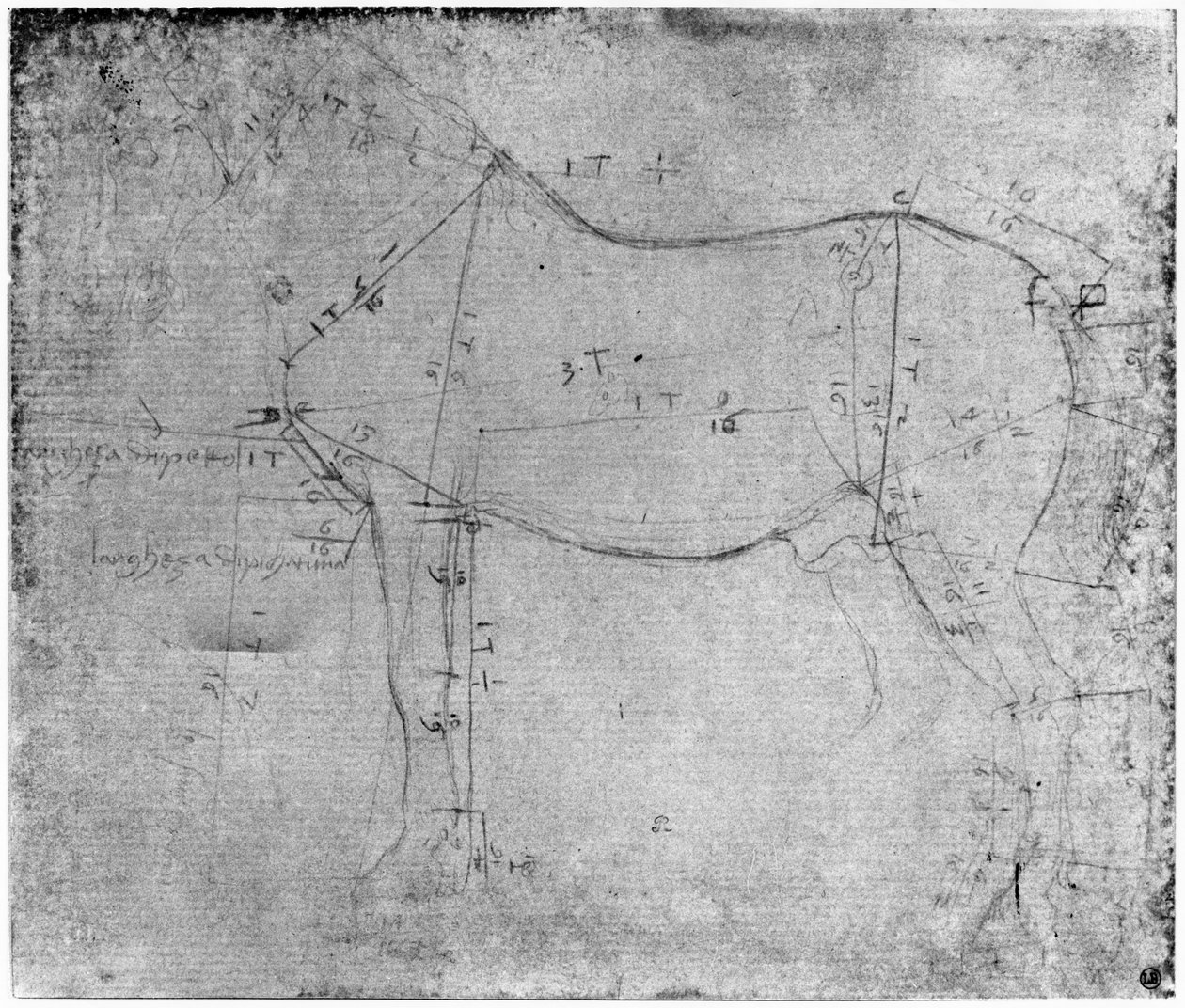 Studie av en hest (metallpunkt på papir) av Leonardo da Vinci