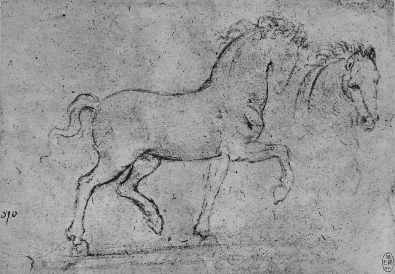 Studie av en hest og et hestehode, c1480 1945 av Leonardo da Vinci