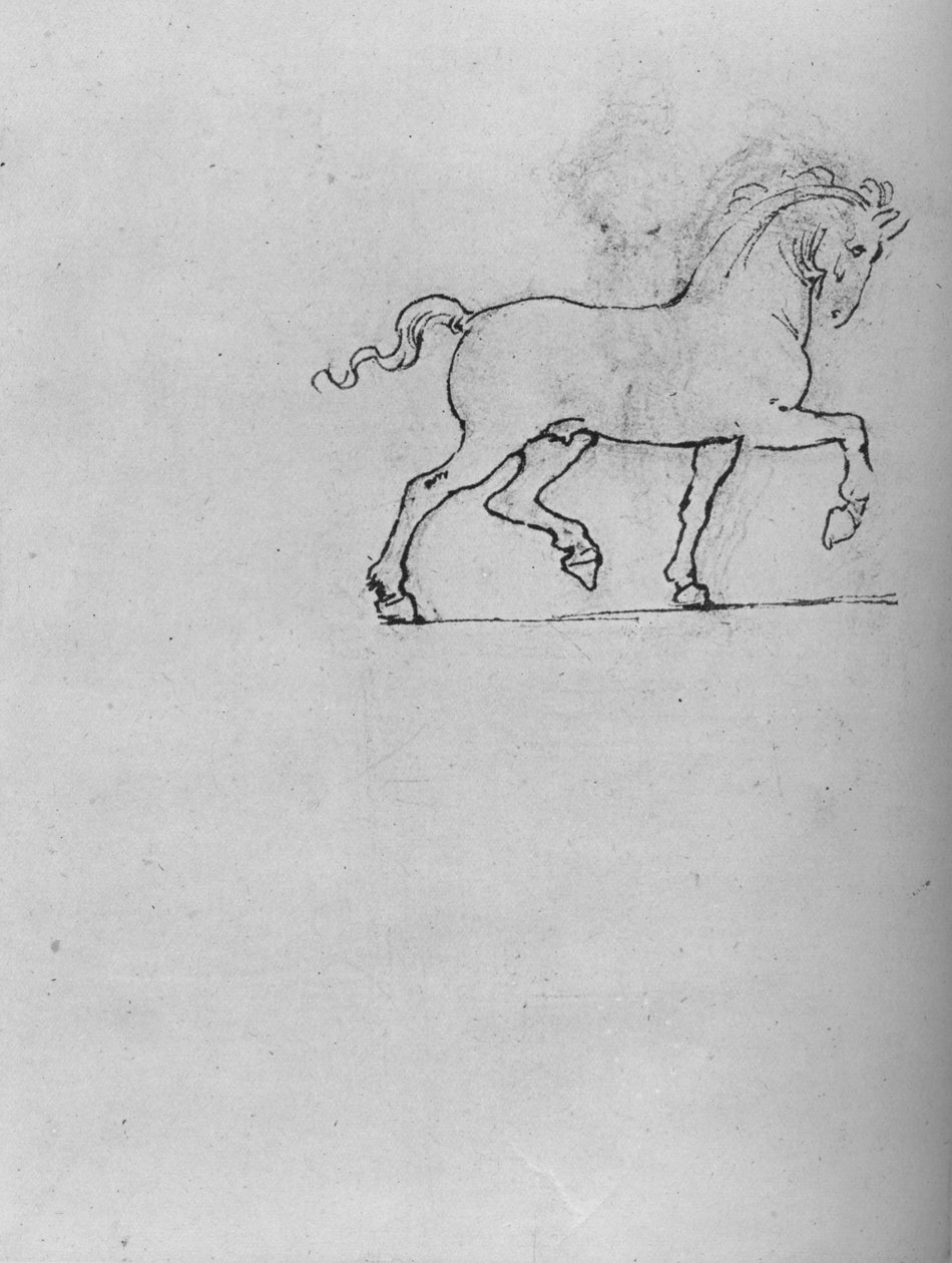 Study of a Horse, c1480 1945 av Leonardo da Vinci