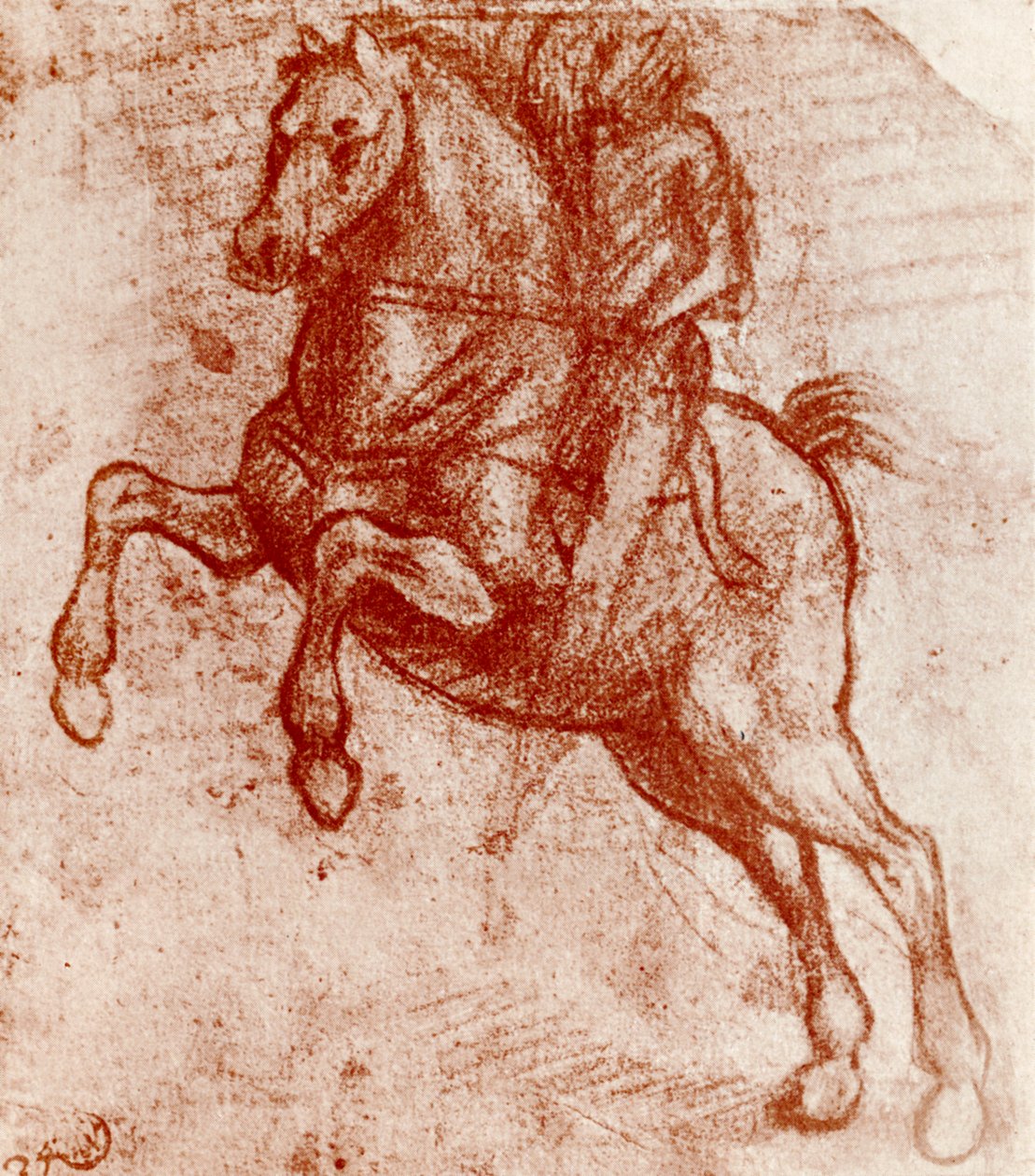 Studie av en ridder, av Leonardo De Vinci, 1913 av Leonardo da Vinci