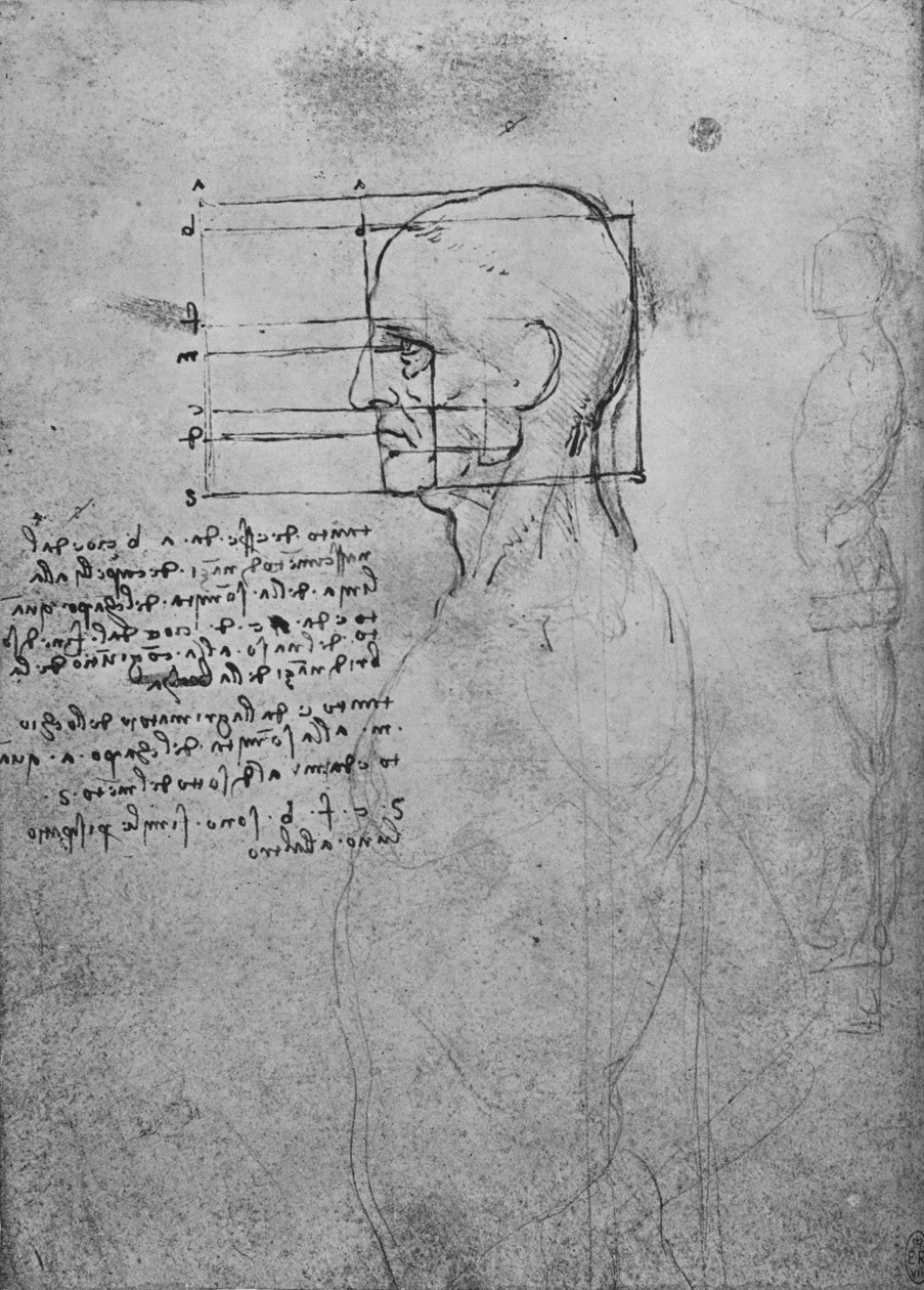 Studie av en manns naken torso, hodet i kvadrat for proporsjon, c1480 1945 av Leonardo da Vinci
