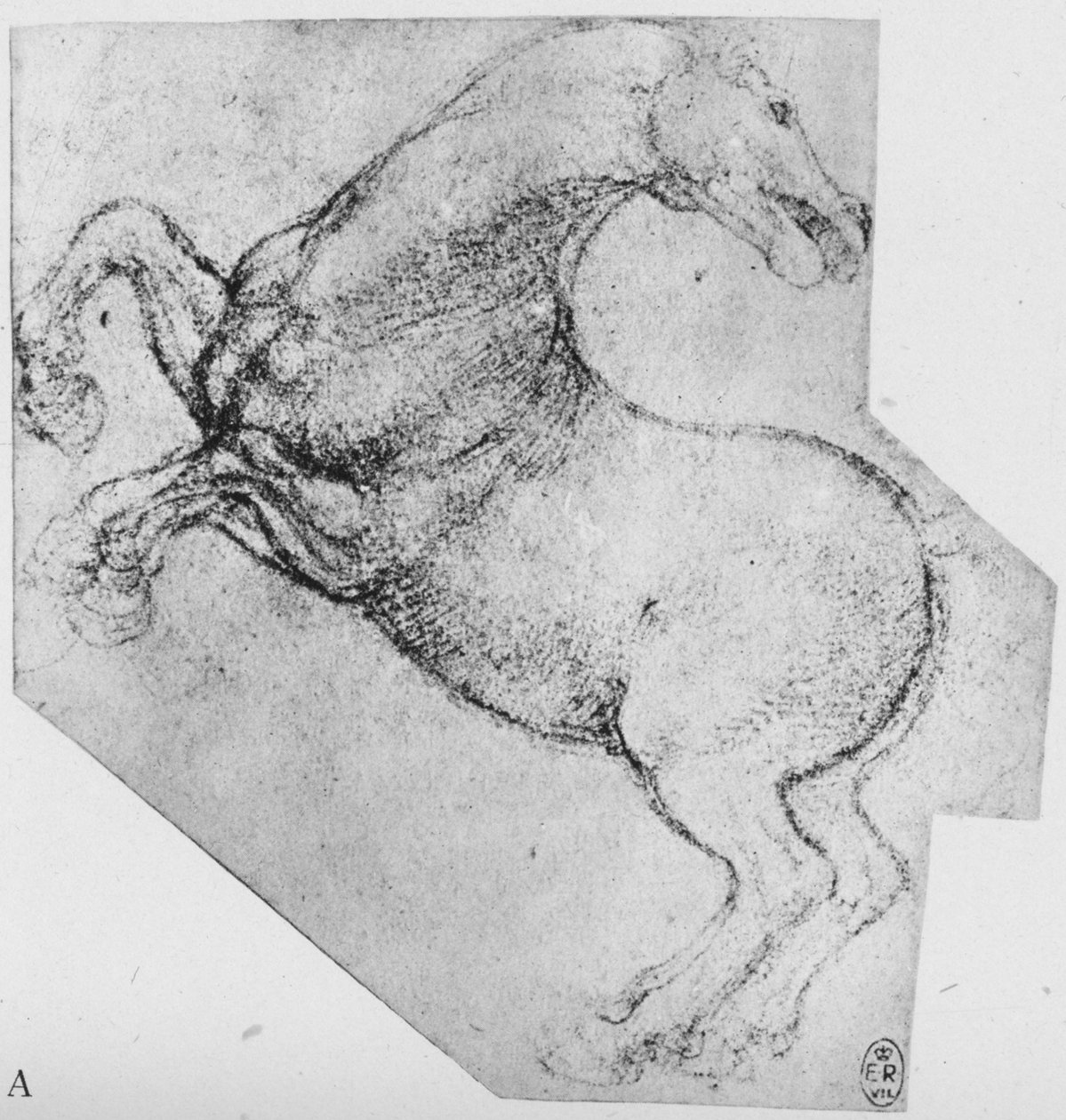 Study of a Rearing Horse, c1480 1945 av Leonardo da Vinci