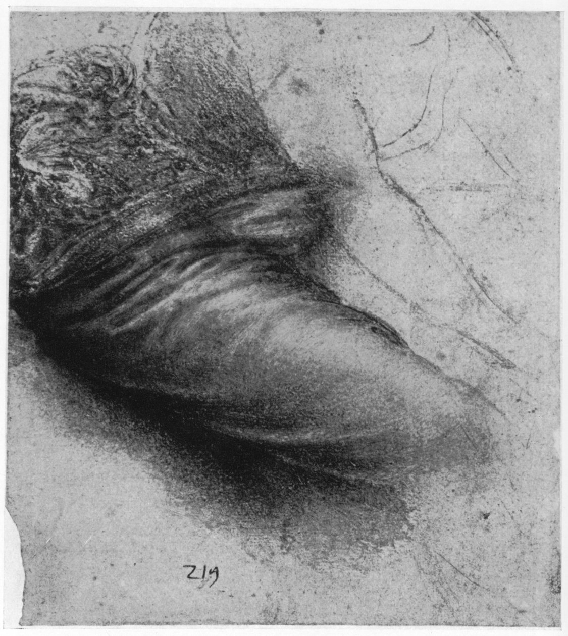 Studie av et plagg for St Anne, 1503-1517 1954 av Leonardo da Vinci