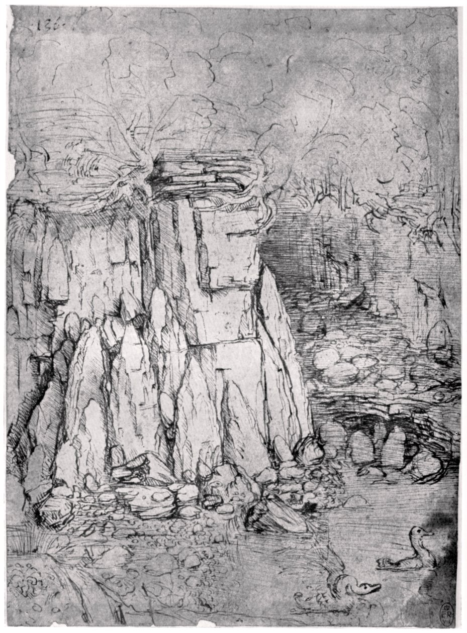 Studie av en steinete hule med ender, 1482-1485 1954 av Leonardo da Vinci