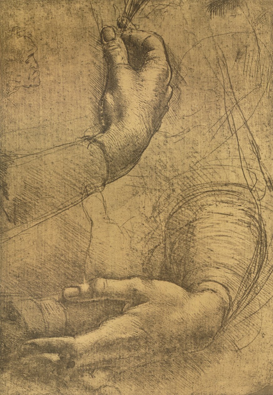 Studie av kvinnelige hender, c1472-c1519 1883 av Leonardo da Vinci