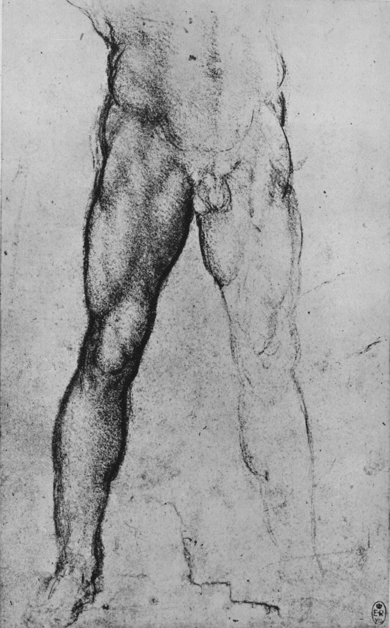 Studie av den nedre halvdelen av en naken mann vendt mot fronten, c1480 1945 av Leonardo da Vinci