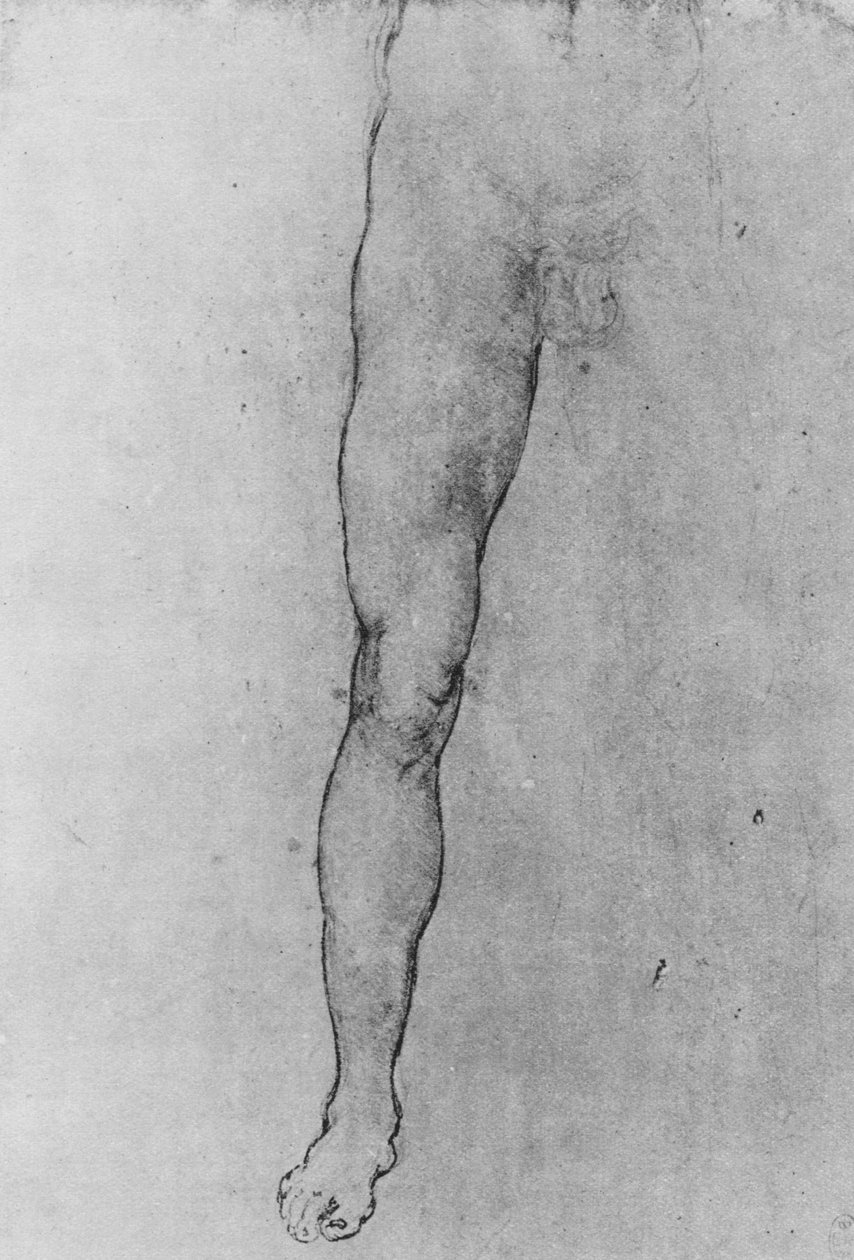 Studie av nedre halvdel av en naken mann vendt mot fronten, c1480 1945 av Leonardo da Vinci
