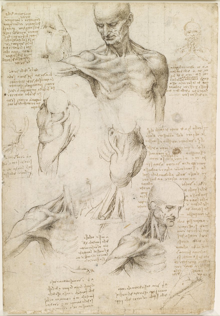  av Leonardo da Vinci