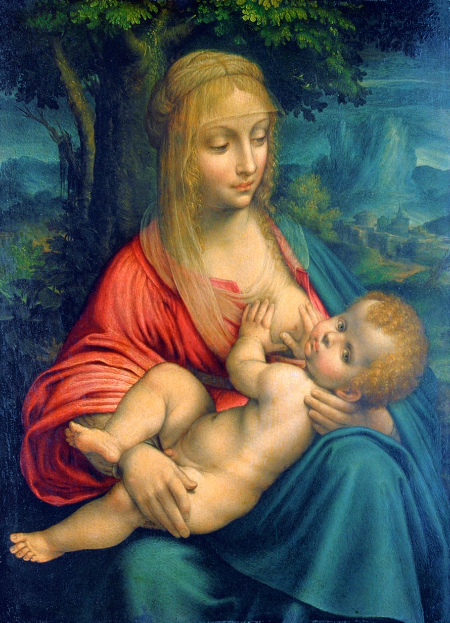 Jomfruen og barnet, c1511 av Leonardo da Vinci