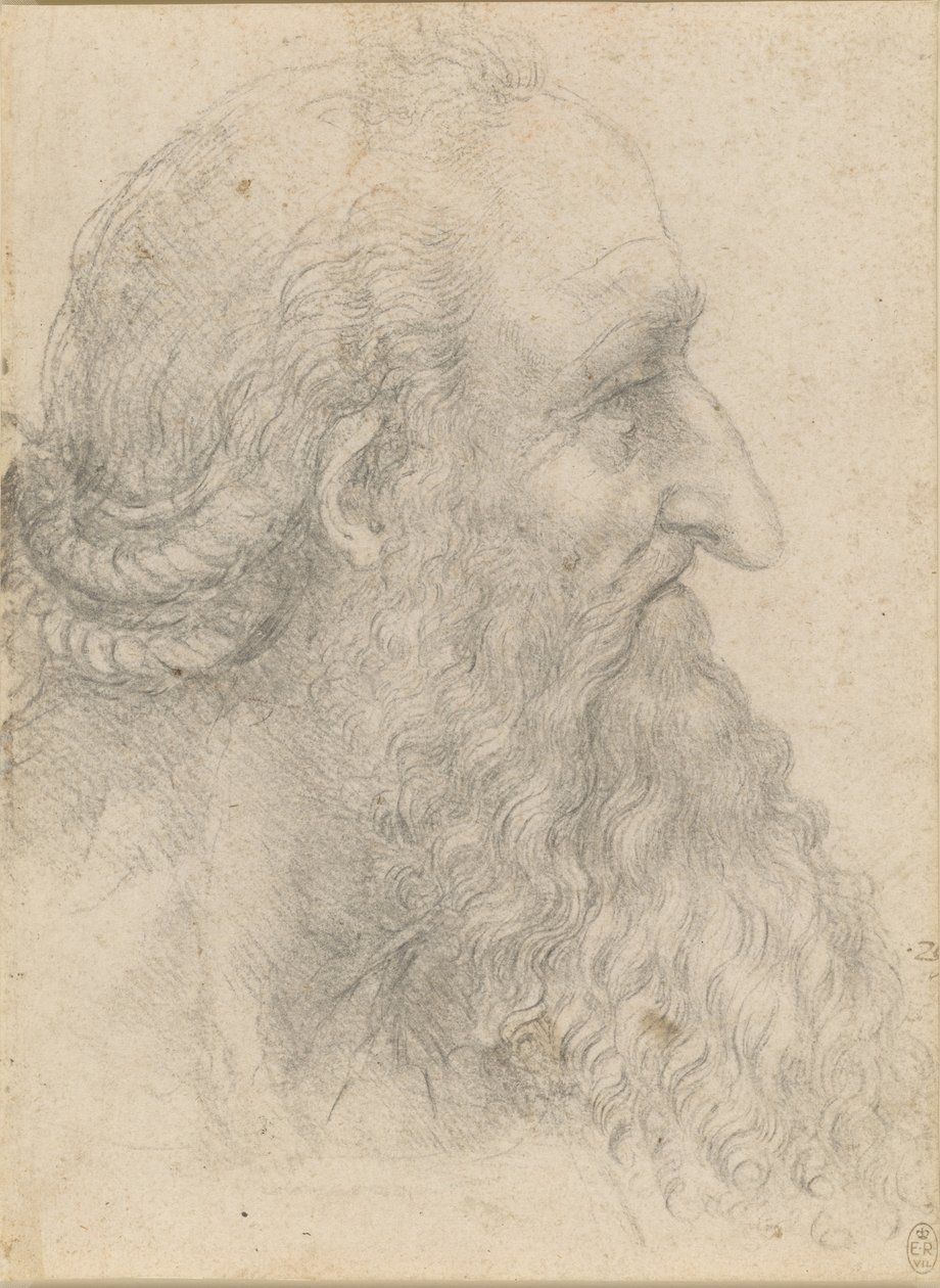 Hodet til en gammel skjeggete mann, ca 1517. av Leonardo da Vinci