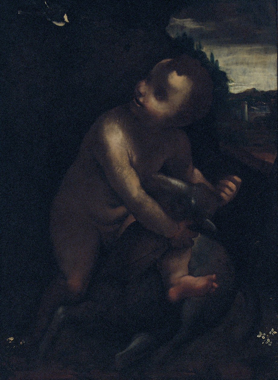 Spedbarnet St. Johannes døperen av Leonardo da Vinci