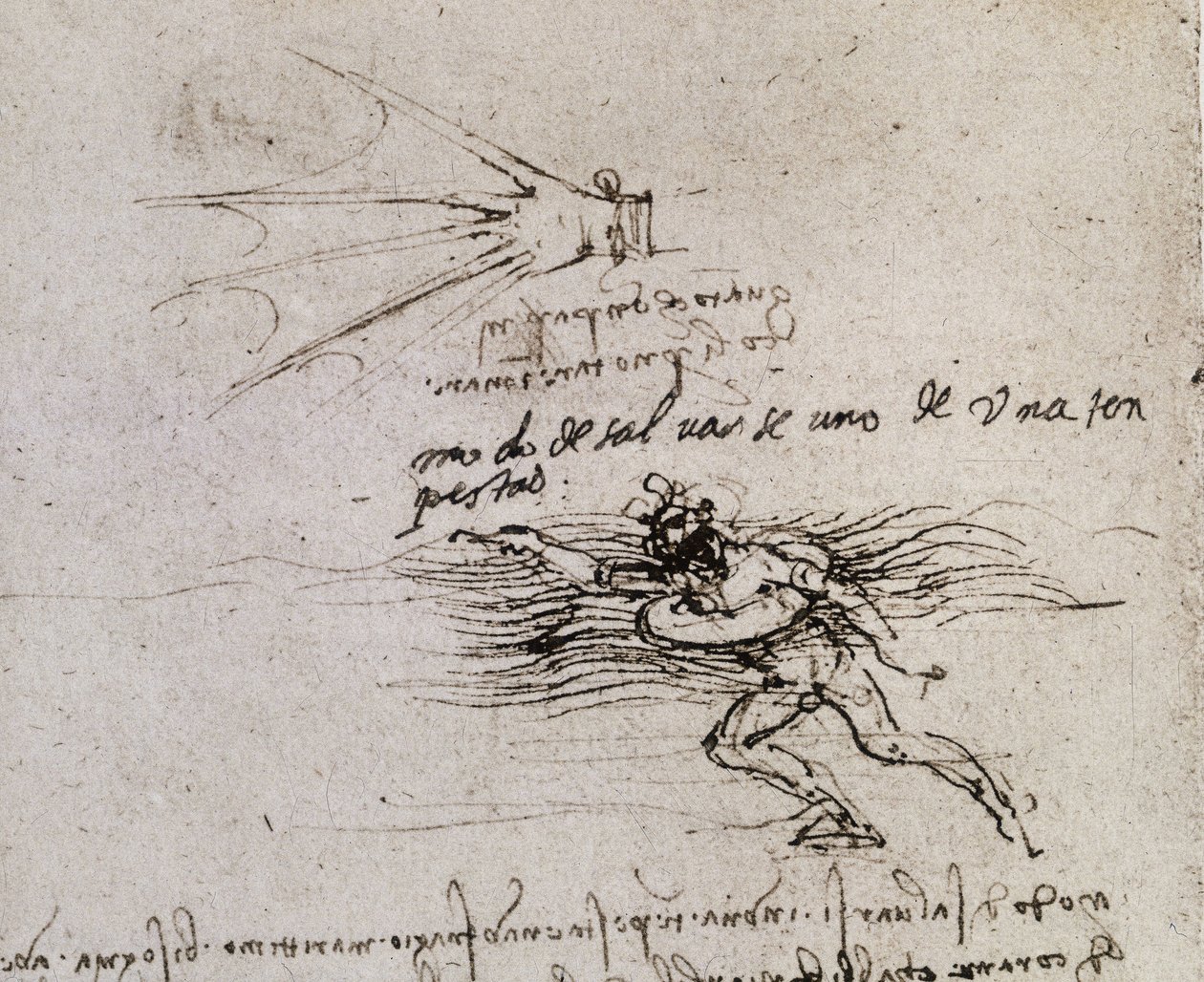 Palmen og bøyen, Codex Atlantic av Leonardo da Vinci