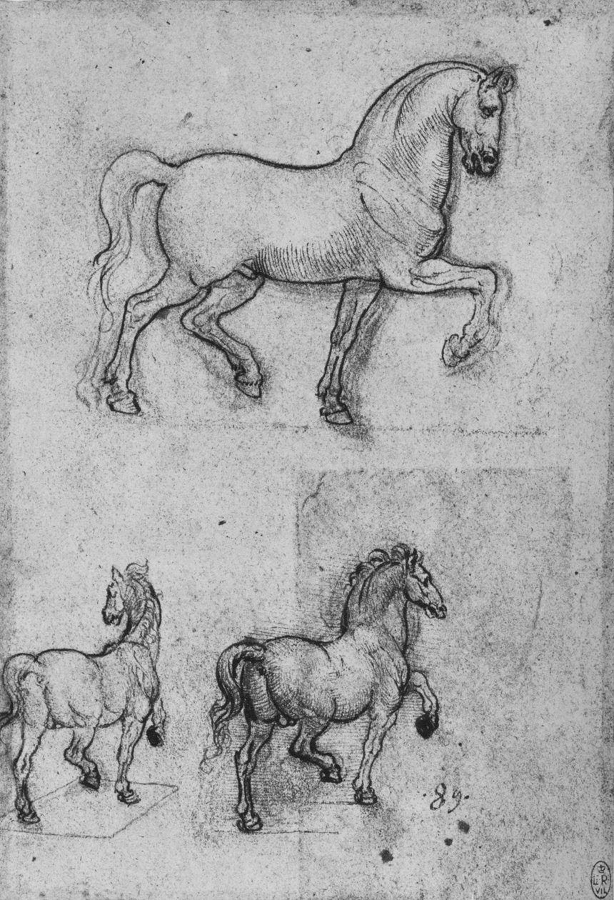 Tre studier av hester, c1480 1945 av Leonardo da Vinci