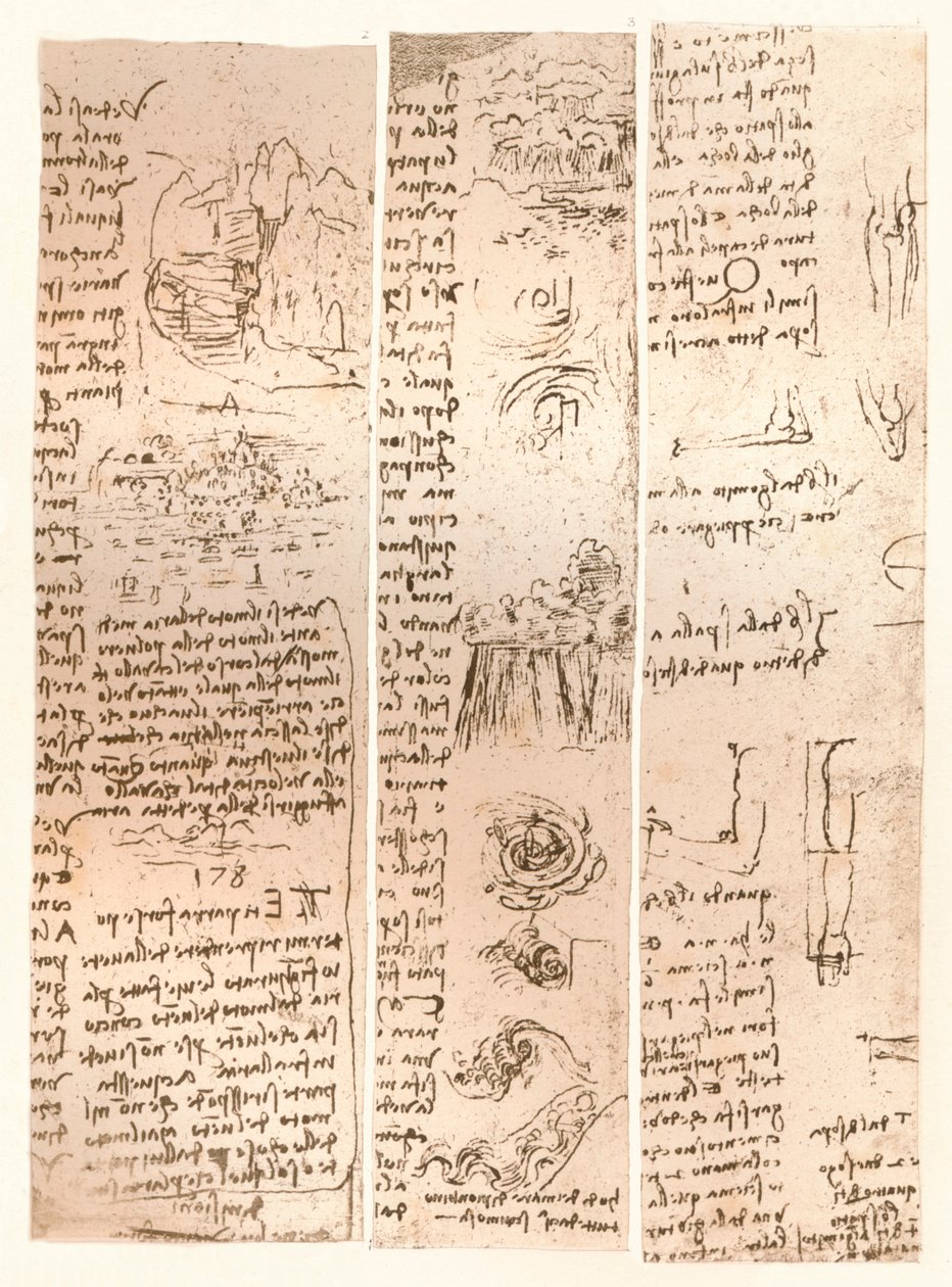 Tre tegninger, c1472-c1519 1883 av Leonardo da Vinci
